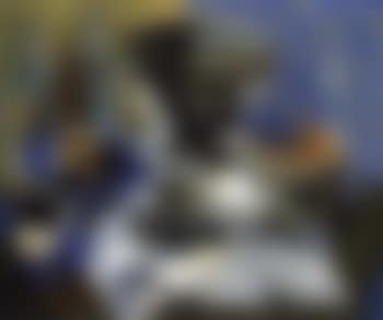 Natura morta con germano (preview)