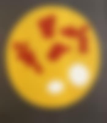 Composition (preview)