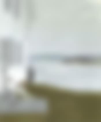 Dog at the door (preview)