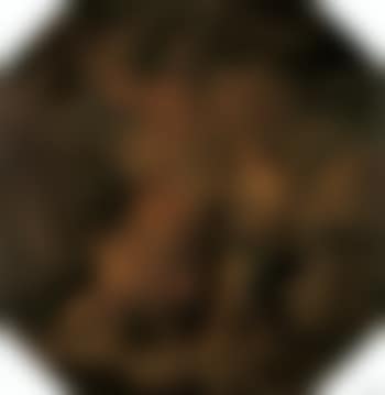 Hercules and Onphalis (preview)
