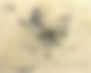 Composition (preview)