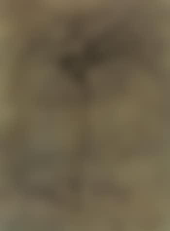 Lonely tree (preview)