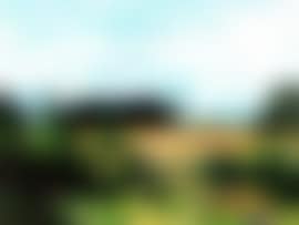 Canterbury landscape (preview)