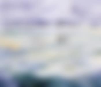 Cows in heathland (preview)