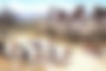Dog pack chasing fox (preview)
