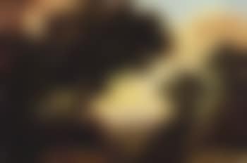 Wooded landscape with travellers and animals (preview)