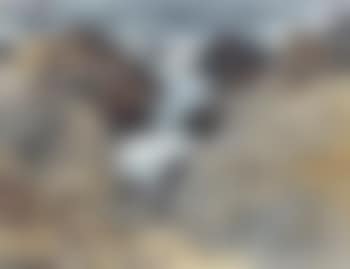 Monterey coast (preview)