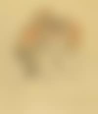 Portrait of woman (preview)