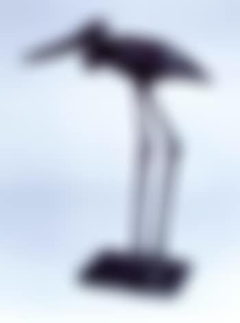Femelle jabiru (preview)