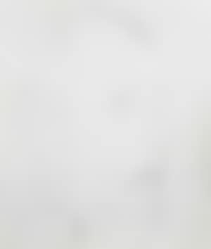 Profil de Paul Koribout, cousin de Diaghilev (preview)