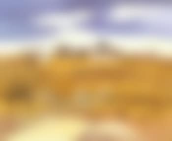 Paysage de Camargue (preview)