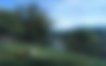 Overlooking river (preview)