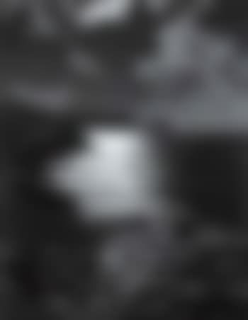Moonlit shore (preview)