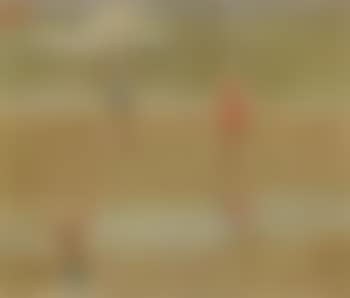 Beach scene (preview)
