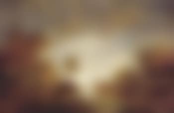 Dutch landscape (preview)