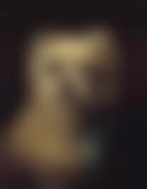Portrait of a dog with bell (preview)