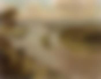 Rhine landscape (preview)