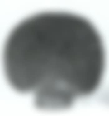 Untitled (preview)
