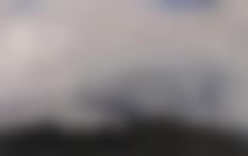 Landscape with forest (preview)