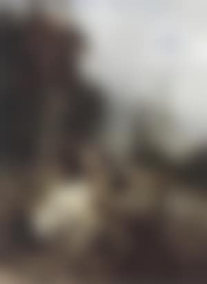 Cattle being herded by milkmaid (preview)