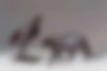 Perdreau rouge (preview)