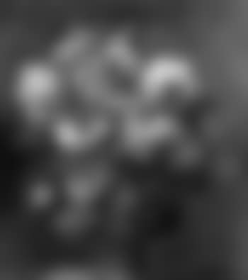Bouquet de fleurs sur un entablement (preview)
