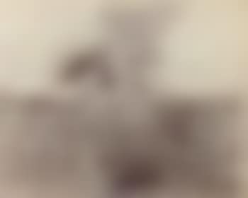 Composition with bird head (preview)