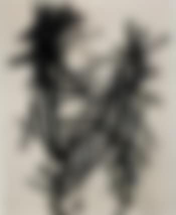 Horse and rider (preview)