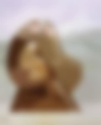 Peasant family (preview)