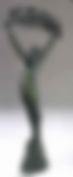Young athlete (preview)
