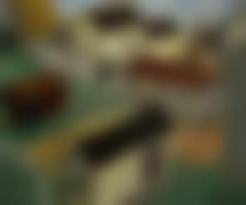 Village (preview)