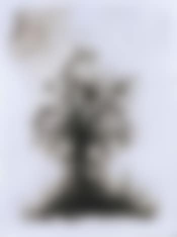 Untitled (preview)