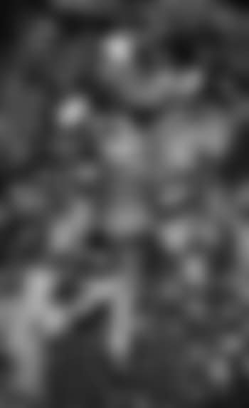 Untitled (preview)