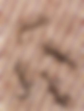 Cross hatched skinks (preview)