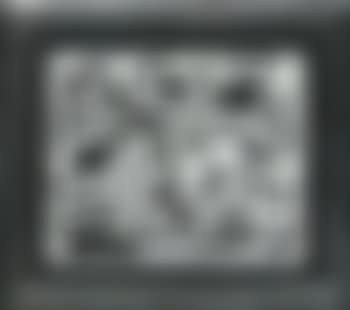 Grey blooms (preview)