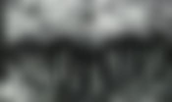Running hammers in landscape (preview)