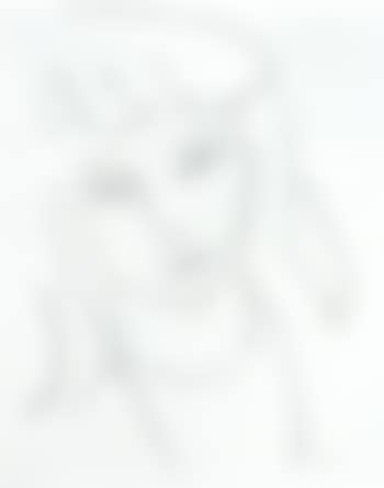 Fillette (preview)