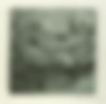 Zillen (preview)