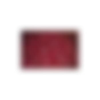 Watermelon slices (preview)