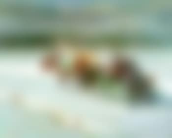Winter sleigh (preview)