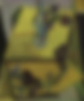 Nature morte aux fleurs et a la carafe (preview)