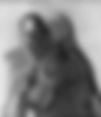 Portrait of the artist's wife (preview)