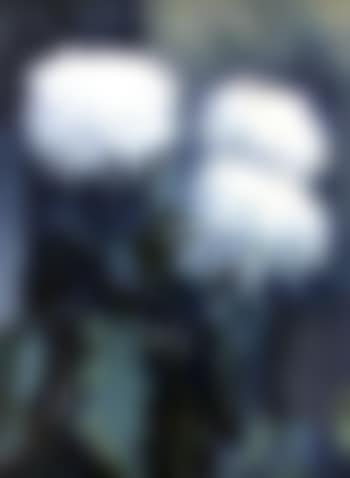 Dahlias (preview)