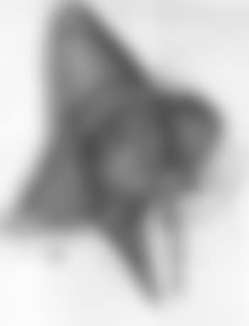 Woman in a hat (preview)