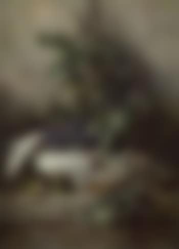 Nature morte (preview)