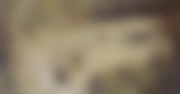 Nu (preview)