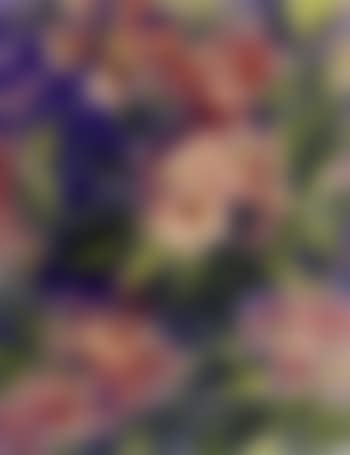 Rhododendrons (preview)