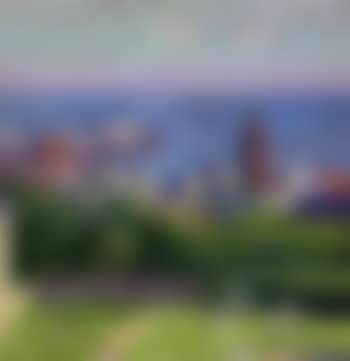 Brighton from Clifton Terrace (preview)