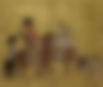 Korean envoys (preview)