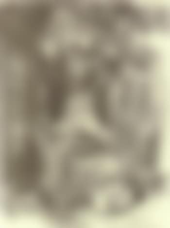 Napoleon's bed (preview)